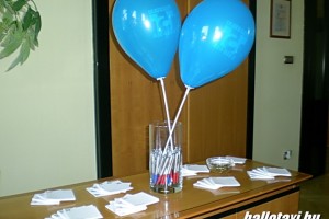 buda_kozp 062.JPG